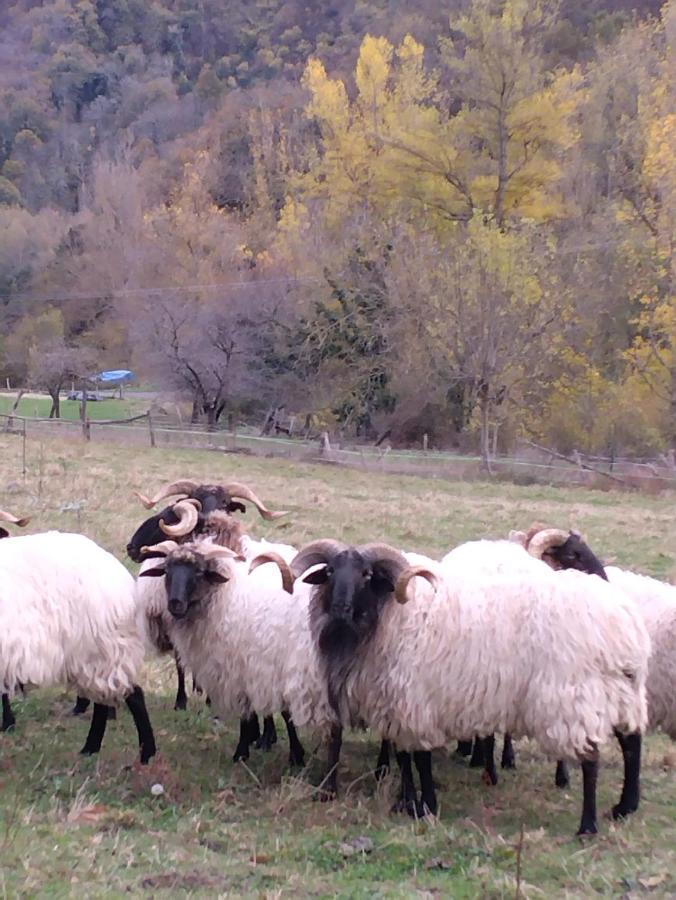 Casa Rural El Enebral En Potes Picos De Euopa Colio Luaran gambar