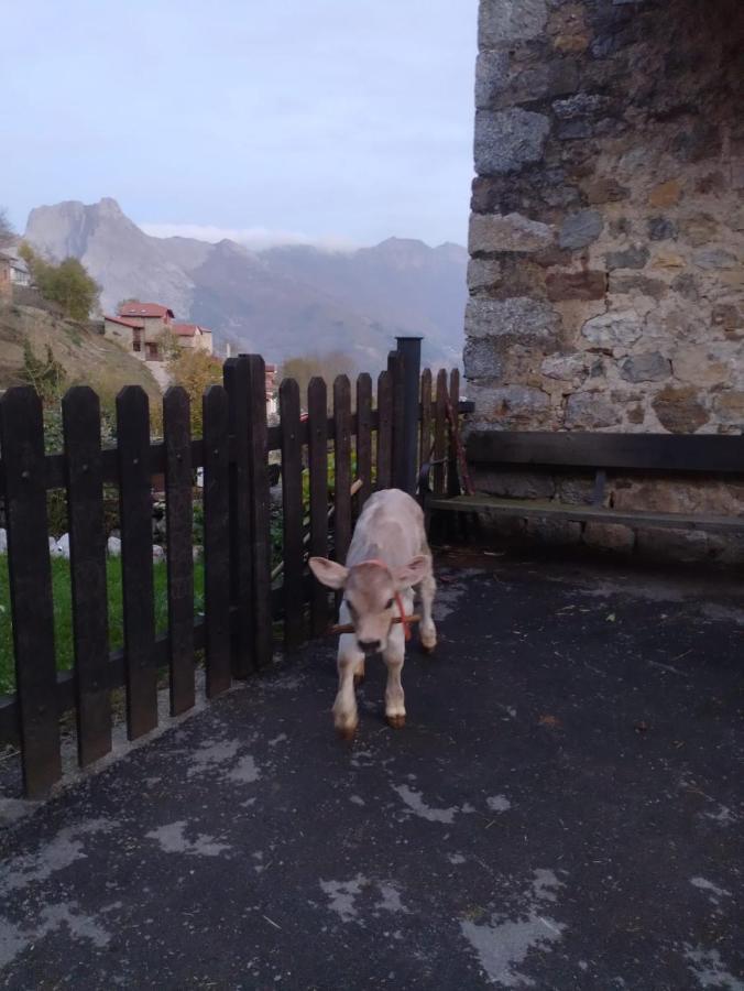Casa Rural El Enebral En Potes Picos De Euopa Colio Luaran gambar